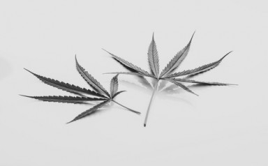 Детоксикация от наркотиков в Кировске